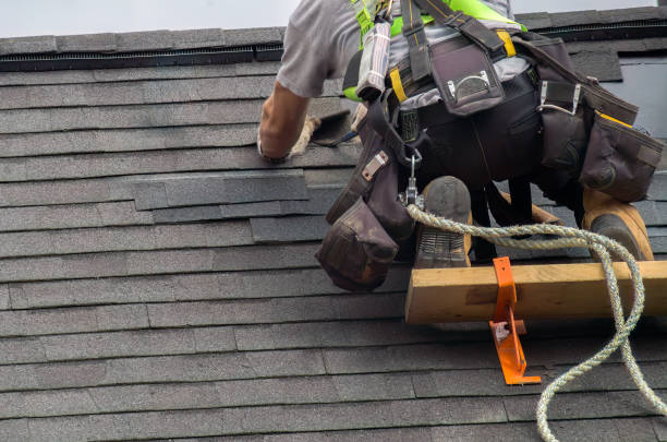 Roof Gutter Cleaning