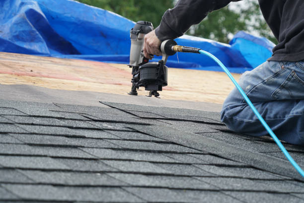 Best Roof Gutter Cleaning  in Brook Park, OH